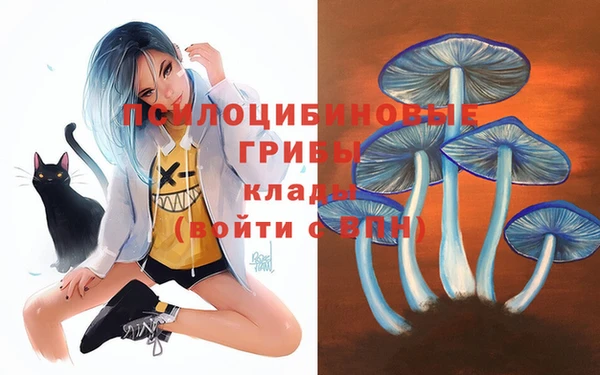 мдпв Абдулино