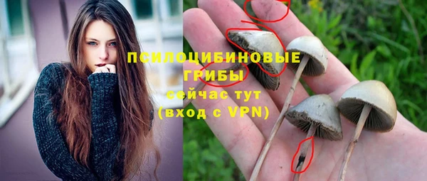 герыч Алексин
